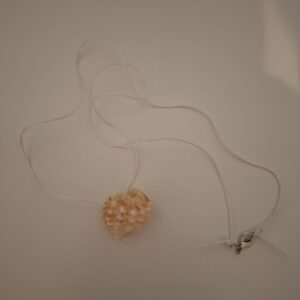 schelpe ketting 3.0 schelpen ketting