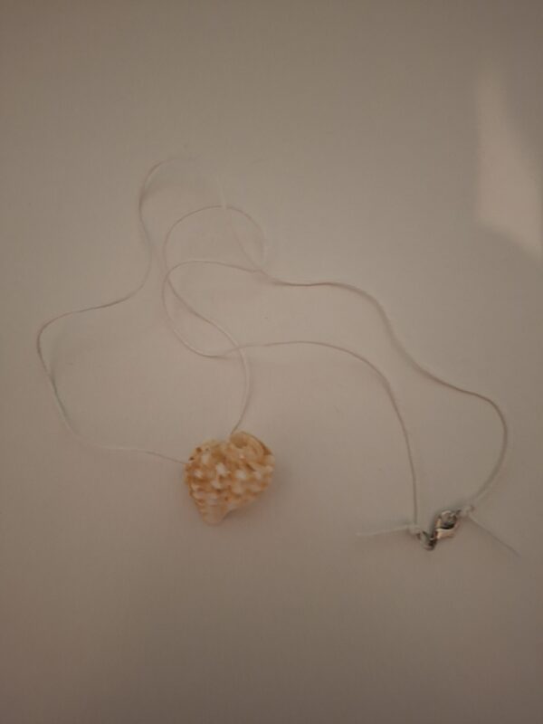 schelpe ketting 3.0 schelpen ketting