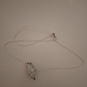 schelpen ketting 2.0 schelpen ketting