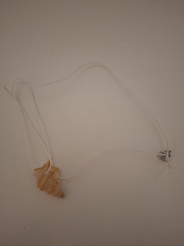 schelpen ketting