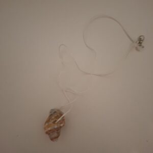 schelpen ketting
